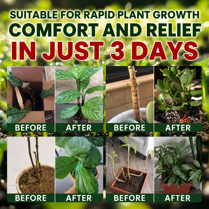 Official US🎊 Store  Universal Plant Nutrient Solution